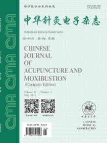 中华针灸电子杂志